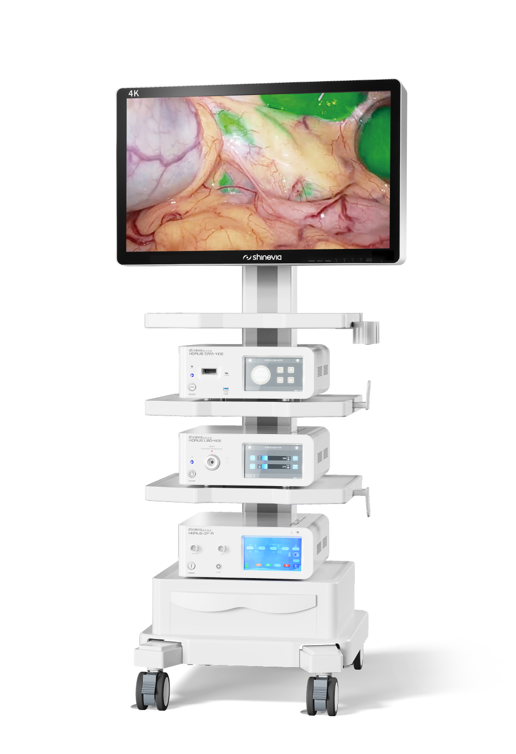 描述